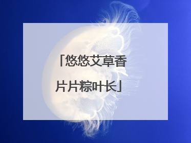 悠悠艾草香 片片粽叶长