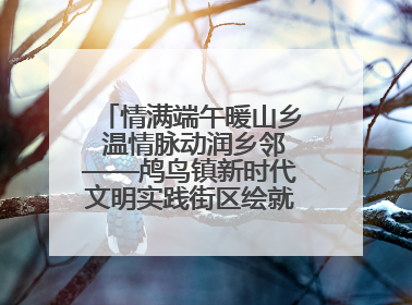 情满端午暖山乡 温情脉动润乡邻——鸬鸟镇新时代文明实践街区绘就文化共富新图景