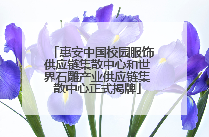 惠安中国校园服饰供应链集散中心和世界石雕产业供应链集散中心正式揭牌