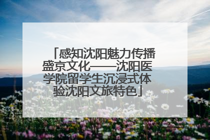 感知沈阳魅力传播盛京文化——沈阳医学院留学生沉浸式体验沈阳文旅特色