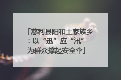 慈利县阳和土家族乡：以“迅”应“汛” 为群众撑起安全伞