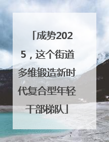 成势2025，这个街道多维锻造新时代复合型年轻干部梯队