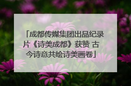 成都传媒集团出品纪录片《诗美成都》获赞 古今诗意共绘诗美画卷