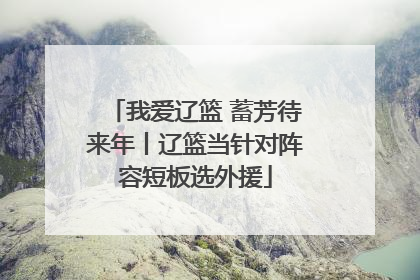 我爱辽篮 蓄芳待来年丨辽篮当针对阵容短板选外援
