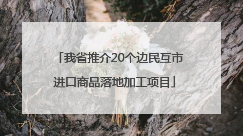 我省推介20个边民互市进口商品落地加工项目