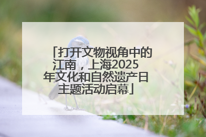 打开文物视角中的江南，上海2025年文化和自然遗产日主题活动启幕