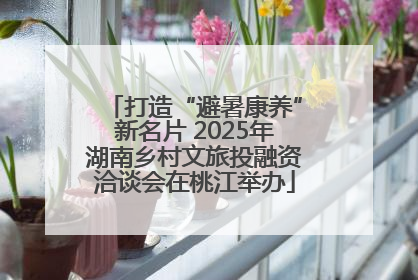 打造“避暑康养”新名片 2025年湖南乡村文旅投融资洽谈会在桃江举办
