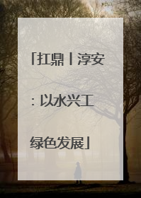 扛鼎丨淳安：以水兴工 绿色发展
