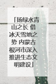 扬绿水青山之长 借冰天雪地之势 内蒙古根河市深入推进生态文明建设
