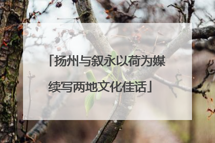 扬州与叙永以荷为媒续写两地文化佳话