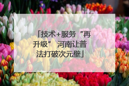 技术+服务“再升级” 河南让普法打破次元壁