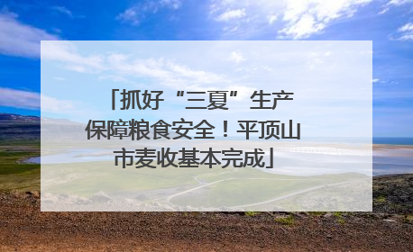 抓好“三夏”生产 保障粮食安全！平顶山市麦收基本完成