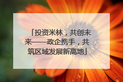 投资米林，共创未来——政企携手，共筑区域发展新高地