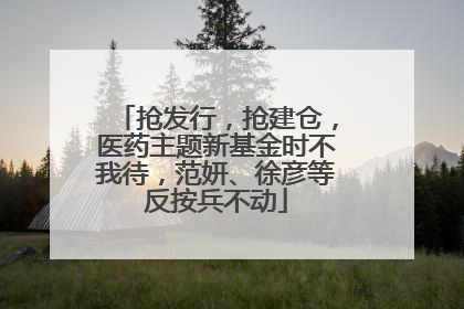抢发行，抢建仓，医药主题新基金时不我待，范妍、徐彦等反按兵不动
