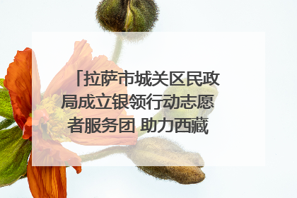 拉萨市城关区民政局成立银领行动志愿者服务团 助力西藏银发经济发展