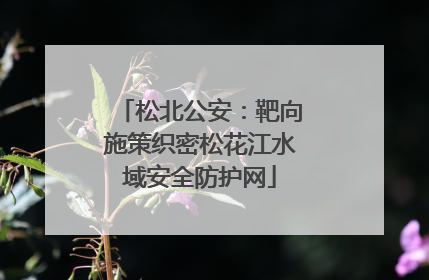 松北公安：靶向施策织密松花江水域安全防护网