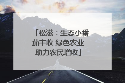 松滋：生态小番茄丰收 绿色农业助力农民增收