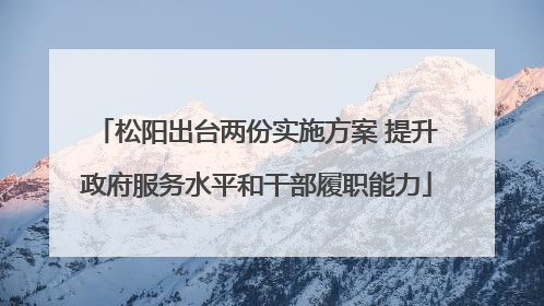 松阳出台两份实施方案 提升政府服务水平和干部履职能力