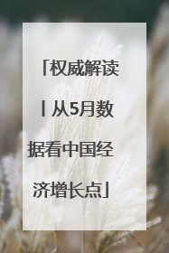 权威解读丨从5月数据看中国经济增长点