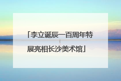 李立诞辰一百周年特展亮相长沙美术馆