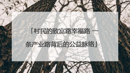 村民的致富路幸福路 一条产业路背后的公益脉络