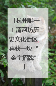 杭州唯一！清河坊历史文化街区再获一块“金字招牌”