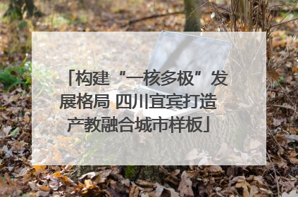 构建“一核多极”发展格局 四川宜宾打造产教融合城市样板
