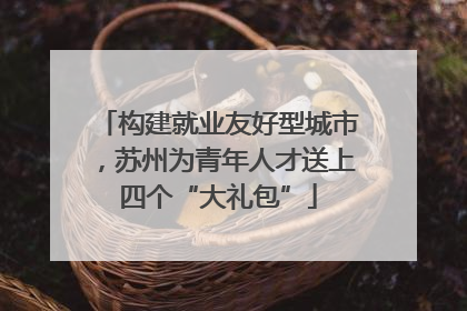构建就业友好型城市，苏州为青年人才送上四个“大礼包”