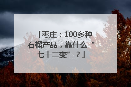 枣庄：100多种石榴产品，靠什么“七十二变”？