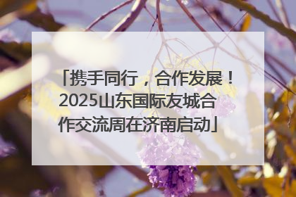 携手同行，合作发展！2025山东国际友城合作交流周在济南启动