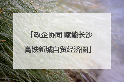 政企协同 赋能长沙高铁新城自贸经济圈