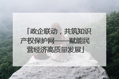 政企联动，共筑知识产权保护网——赋能民营经济高质量发展