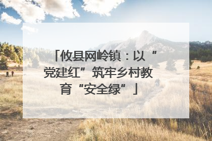 攸县网岭镇：以“党建红”筑牢乡村教育“安全绿”