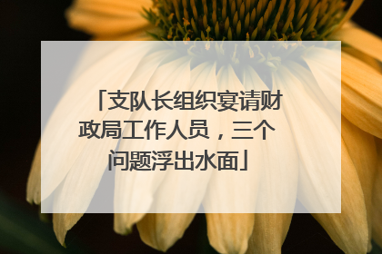支队长组织宴请财政局工作人员，三个问题浮出水面