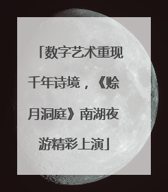 数字艺术重现千年诗境，《赊月洞庭》南湖夜游精彩上演