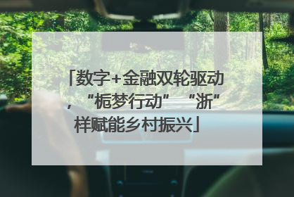 数字+金融双轮驱动，“栀梦行动”“浙”样赋能乡村振兴