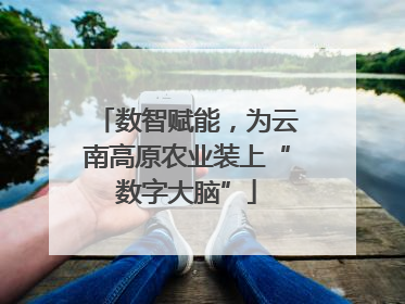数智赋能，为云南高原农业装上“数字大脑”