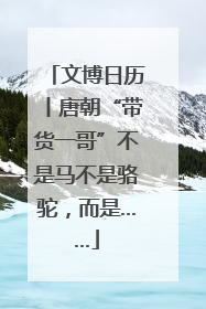 文博日历丨唐朝“带货一哥”不是马不是骆驼，而是……