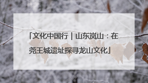 文化中国行｜山东岚山：在尧王城遗址探寻龙山文化