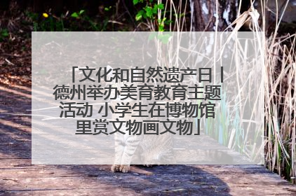 文化和自然遗产日丨德州举办美育教育主题活动 小学生在博物馆里赏文物画文物