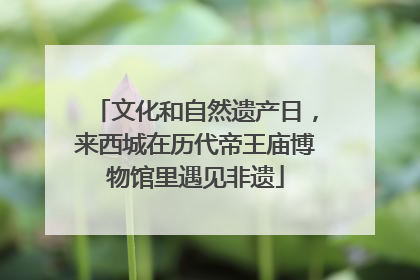 文化和自然遗产日，来西城在历代帝王庙博物馆里遇见非遗