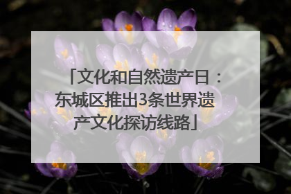 文化和自然遗产日：东城区推出3条世界遗产文化探访线路
