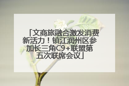 文商旅融合激发消费新活力！镇江润州区参加长三角C9+联盟第五次联席会议