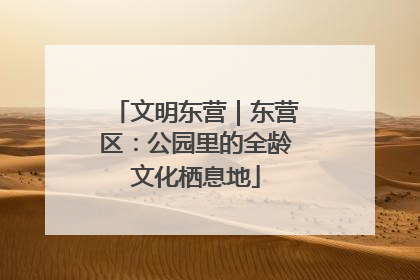 文明东营｜东营区：公园里的全龄文化栖息地