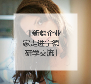 新疆企业家走进宁德研学交流
