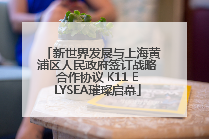 新世界发展与上海黄浦区人民政府签订战略合作协议 K11 ELYSEA璀璨启幕