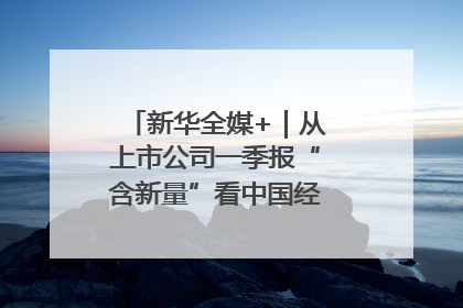 新华全媒+｜从上市公司一季报“含新量”看中国经济发展向“新”