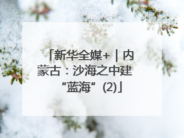 新华全媒+｜内蒙古：沙海之中建“蓝海”(2)