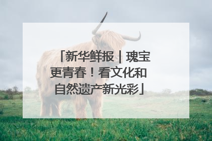 新华鲜报｜瑰宝更青春！看文化和自然遗产新光彩