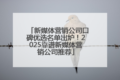 新媒体营销公司口碑优选名单出炉！2025靠谱新媒体营销公司推荐